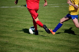 爱游戏官网app-拳击国家队备战亚运 实施精英训练计划，拳击亚军奖杯照片